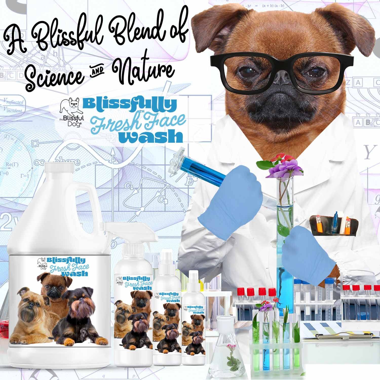 brussels griffon scientist